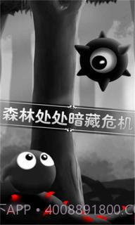 奇妙的森林v3.41.12截图