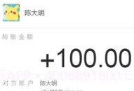 支付宝转账截图生成器软件V1.13截图