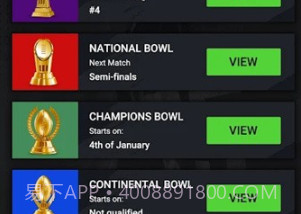 橄榄球战斗v1.0.21截图