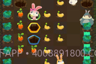 Patchmania游戏V1.13截图