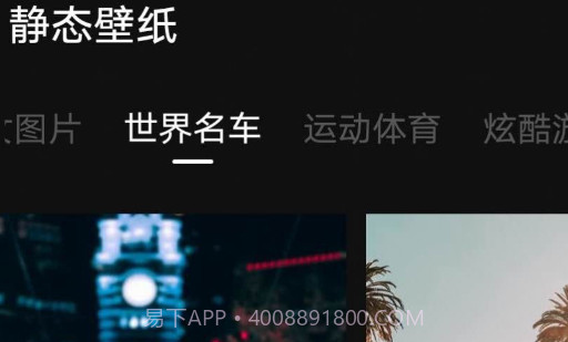 雨林壁纸v1.20.0.14截图