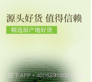 降三高莓茶v1.0.20截图