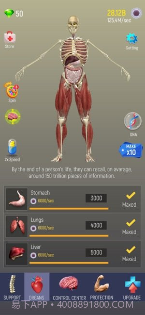 放置人类v1.3.21截图