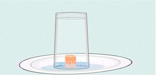 科学活动v1.0.18截图