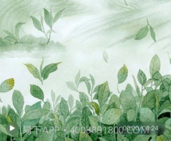 Sora视频生成器v1.16截图