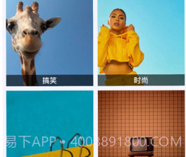 看看社区v1.0.15截图