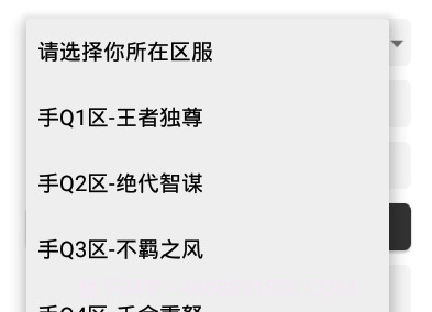 王者任意充值v2.17截图