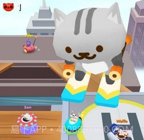 喵咪碰碰车v2.19截图