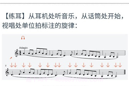 山东音协考级v1.0.16截图