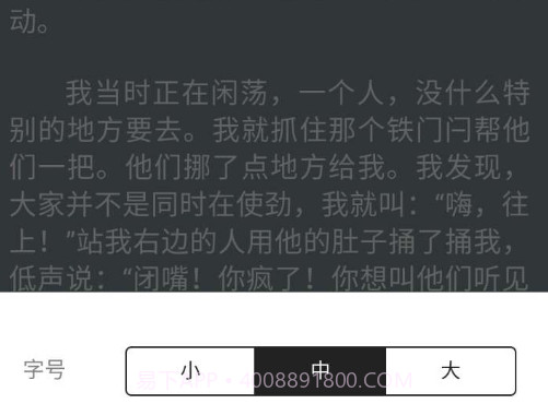观止v1.2.23截图
