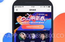 搜狗搜索appv8.2.0.15截图