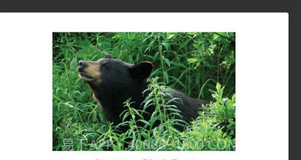 STUDYBLUE Flashcardsv5.14截图