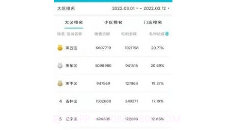 店铺运营BI系统v9.2.22截图