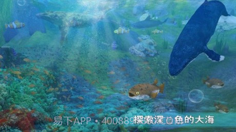 全民养鲸鱼正版v1.16截图