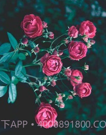 易压缩v1.1.16截图