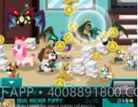 汪星人大战作业v1.0.24截图