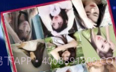 开心相册乐园v1.0.19截图