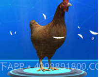 疯狂压路鸡v1.16截图