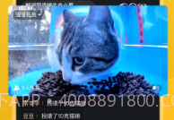 哈啰街猫手机版V1.0.16截图