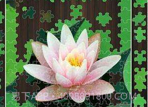 Jigty拼图游戏完整版v3.19截图