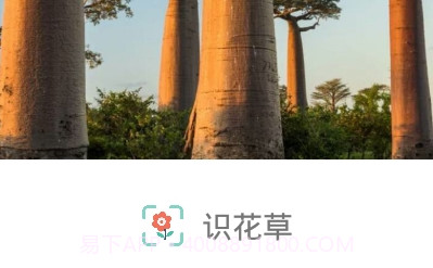 识花草v1.0.22截图