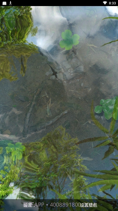 锦鲤鱼池3D动态壁纸（鱼池）1.91截图