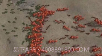 模拟地下蚁国v0.0.1.22截图