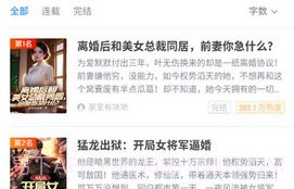 狸梦小说V3.00.55.18截图