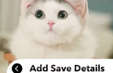 爱猫物语宠物店2023版v3.43.17截图