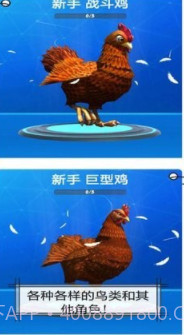 鸡你真溜v1.0.22截图