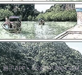 Storyboardv1.21截图