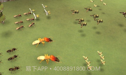 虫虫战斗模拟器2v1.0.26截图