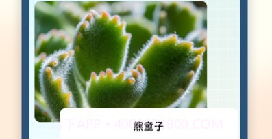 试卷星v1.0.0.22截图