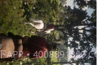 骑马狩猎模拟v1.21截图