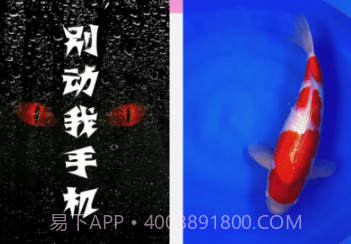 贴心来电v1.0.24截图