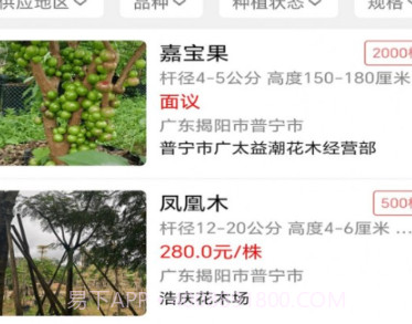 点苗报价v1.0.20截图