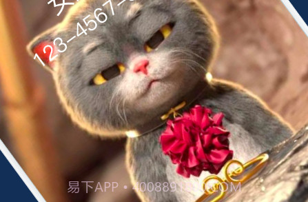 星光来电秀v1.9.22截图