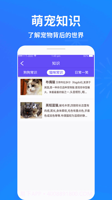 萌宠猫狗交流器官方正版v3.0截图