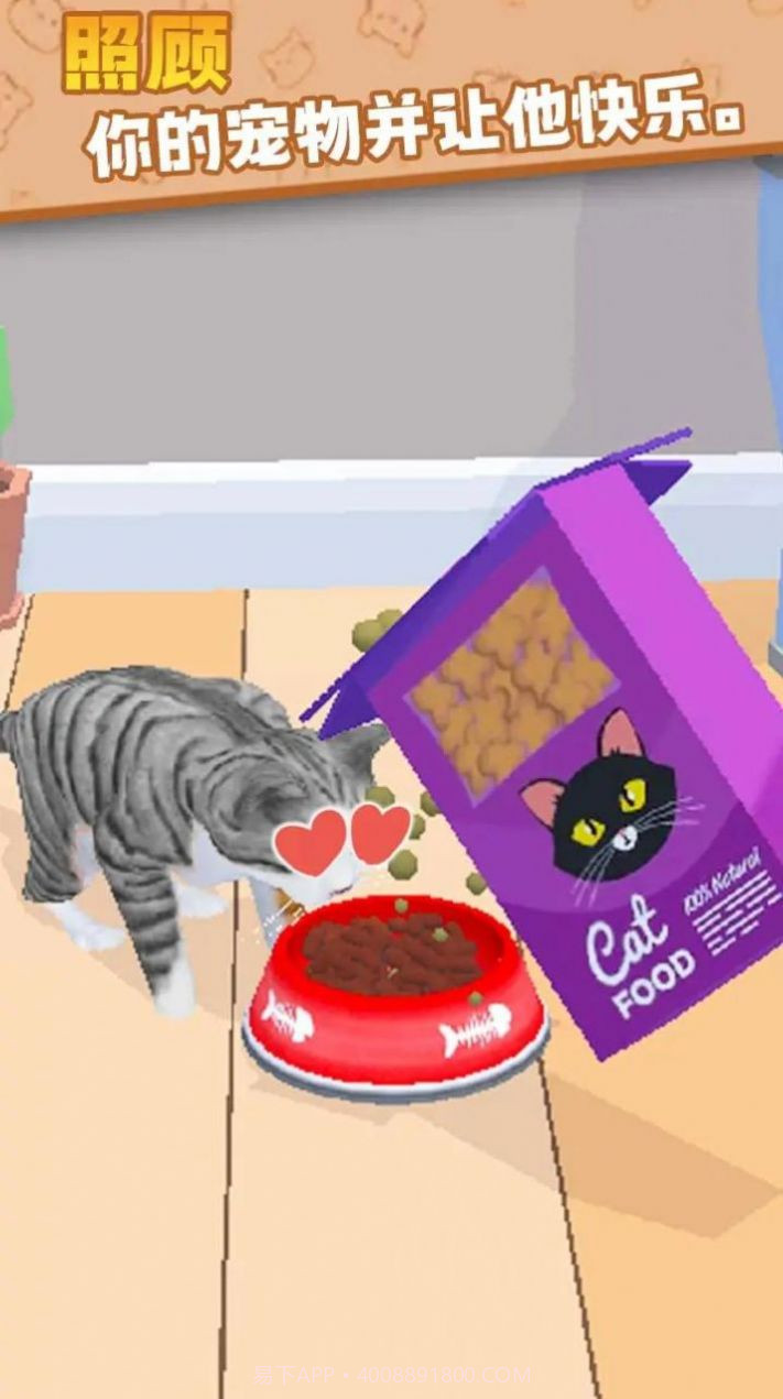 猫咪的选择2.16截图