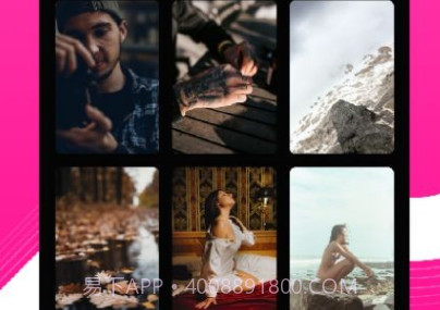 小鸟主题壁纸v1.23截图