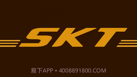 skcam14.1.0.0.12截图