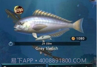 钓鱼胡克中文v1.22截图