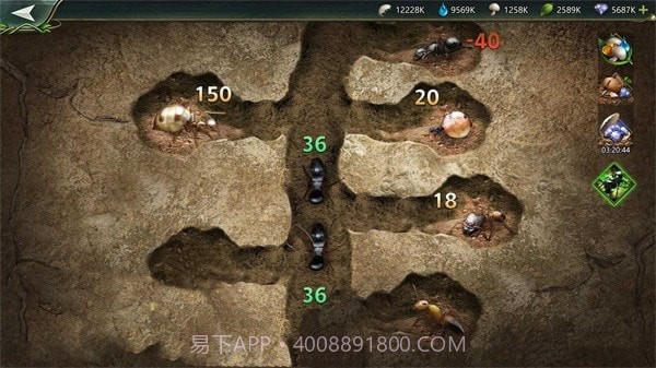 小小蚁窝1.29.13截图