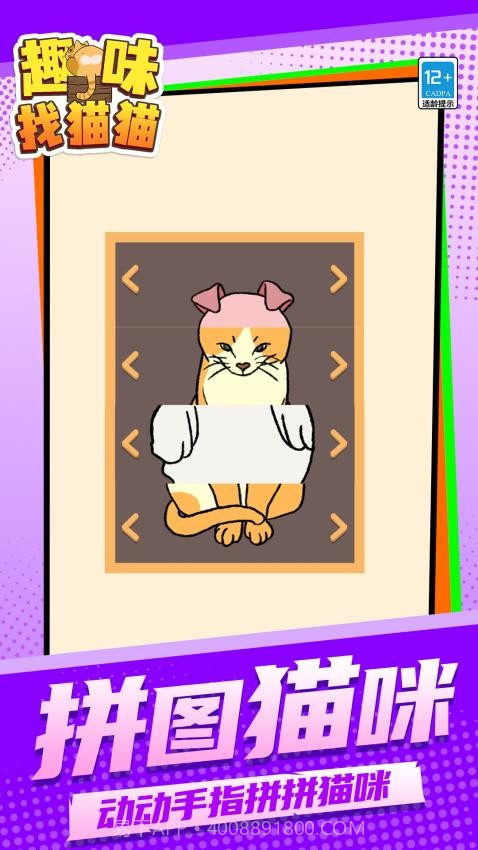 趣味找猫猫国际版v1.1.2截图