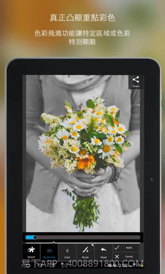 PixlrExpress手机版v1.02截图