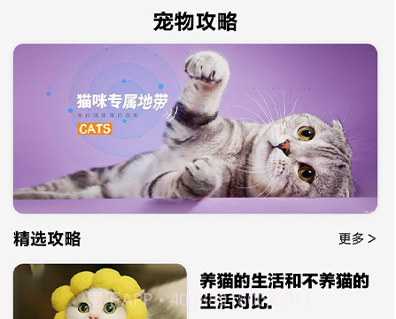 可爱喵喵壁纸大全v1.25截图