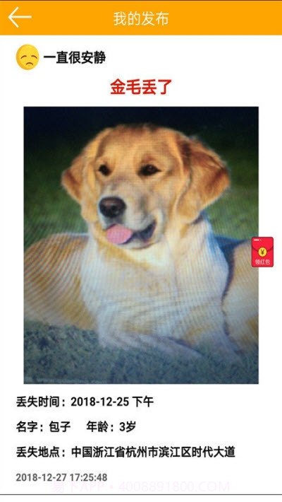 宠物的日记截图1