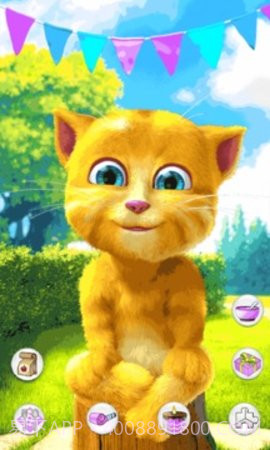 会说话的金杰猫2截图1 会说话的金杰猫2截图1