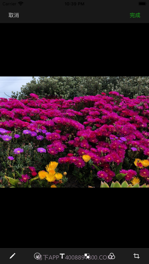 墨绿剪影截图2 墨绿剪影截图2