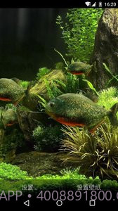 3D食人鱼：梦象动态壁纸截图2
